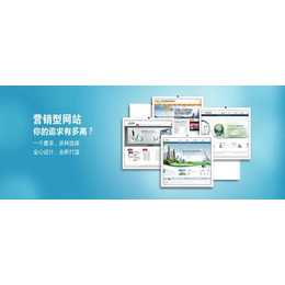 營銷型網(wǎng)站開發(fā) 打造高效獲客與轉(zhuǎn)化的數(shù)字門戶